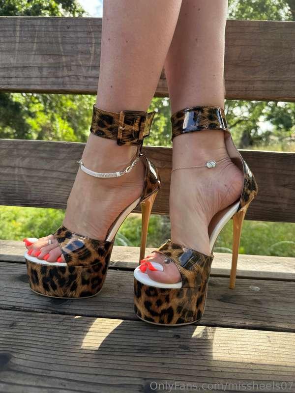 missheels07 image #4