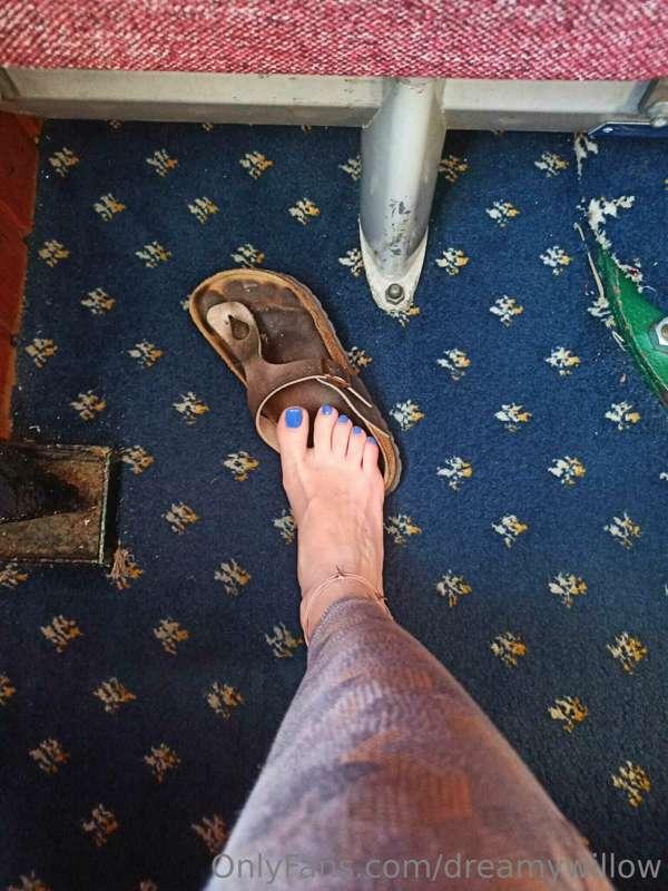 dreamywillow image #0