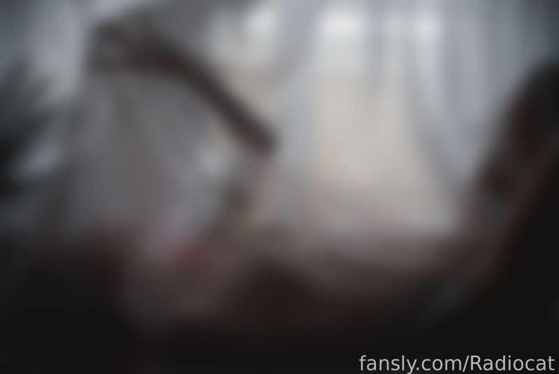 radiocat image #9