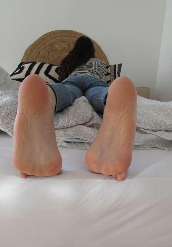 neolasoles image #1