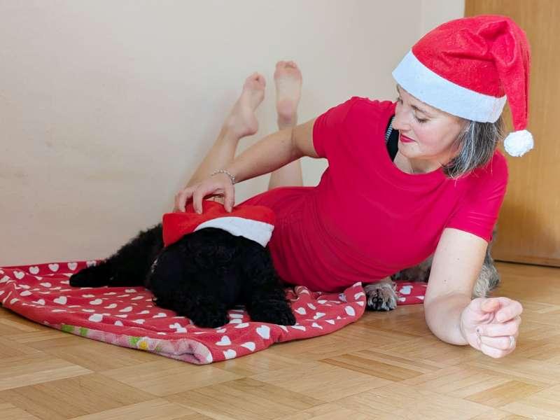 Christmas Day is over but the christmas season is still on....!
