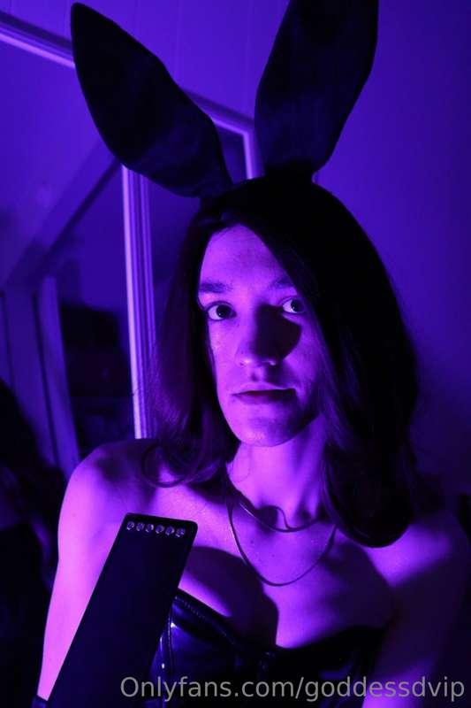 goddessdvip image #6