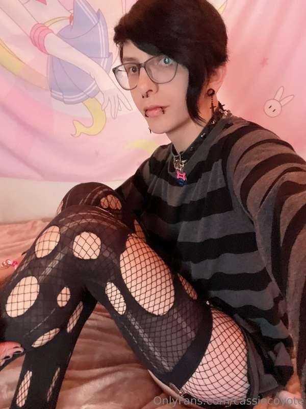 cassiecoyote image #1