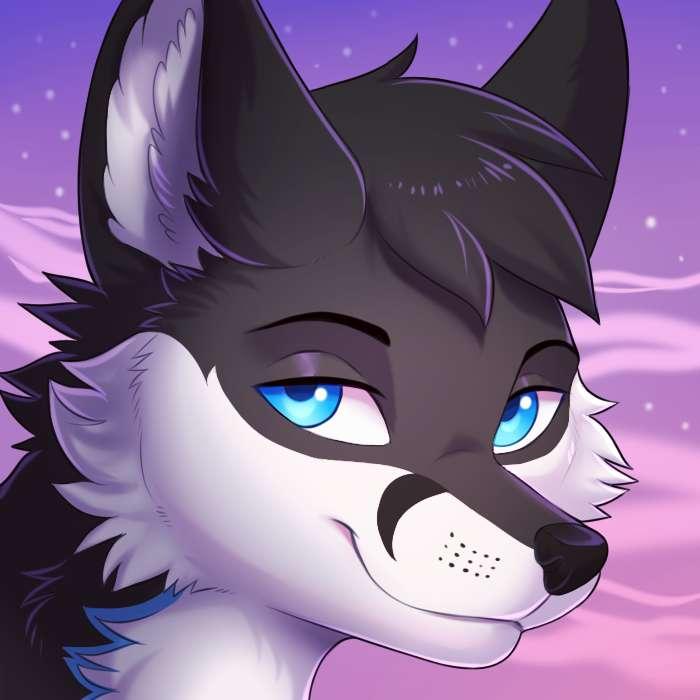 SeggyFox icon