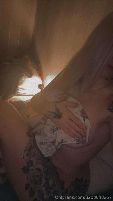 ✨✨✨