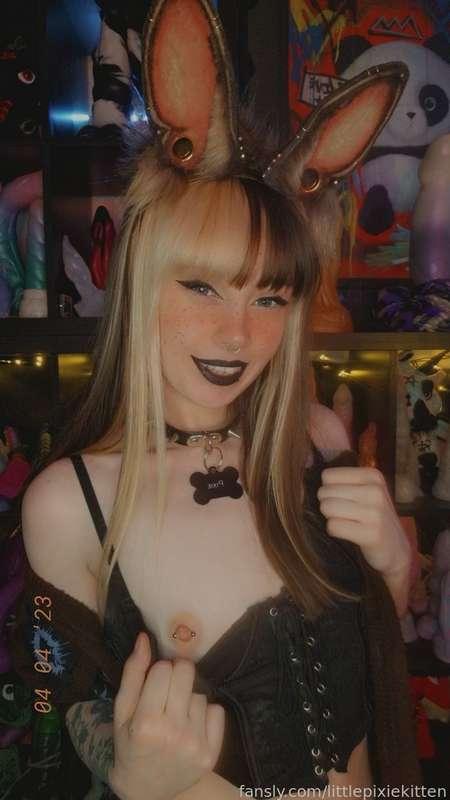 littlepixiekitten image #9