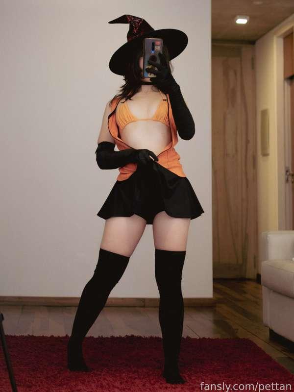 pettan image #4