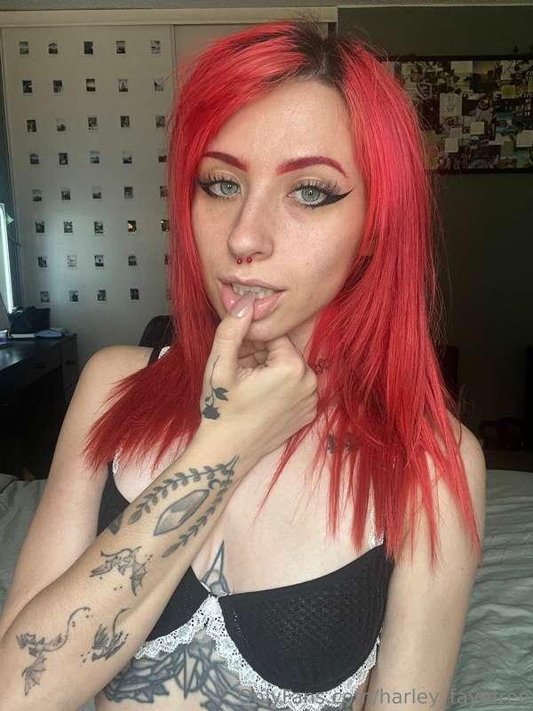 harley_fayefree image #0