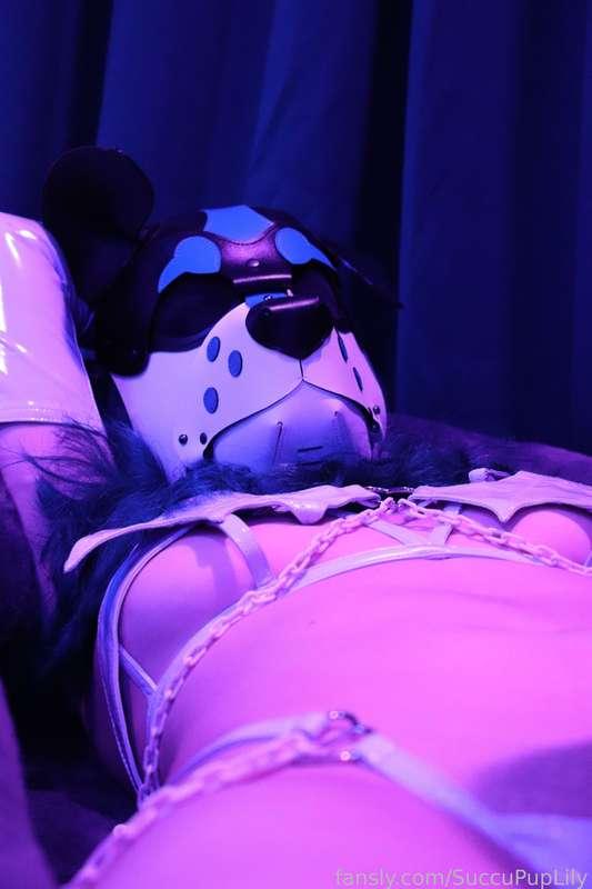 succupuplily image #50