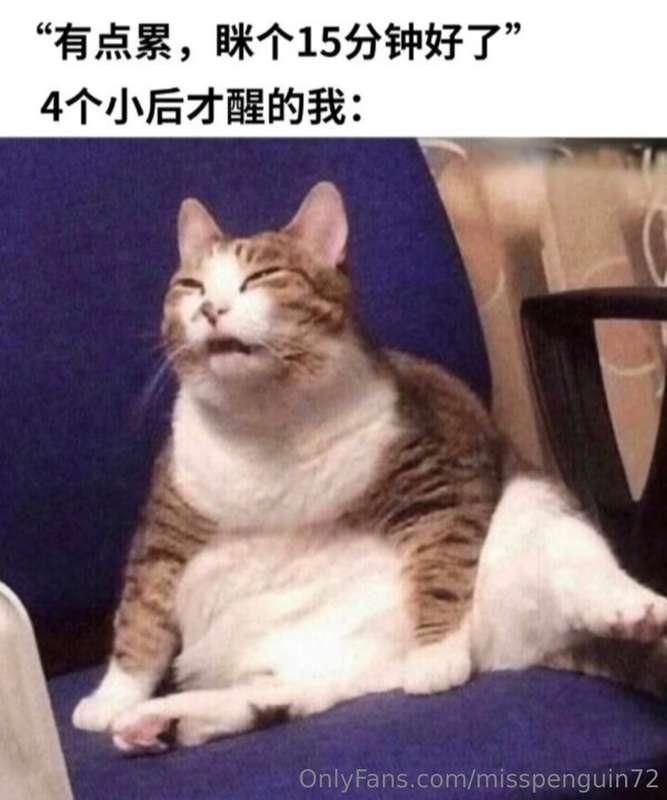 2024/07/30  「現正時間 07/31 03:28」  昨天回家本來要寫日記 我想說反正我睡眠障礙這麼嚴重 那先..