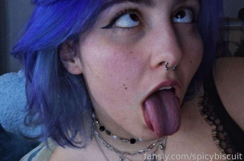 spicybiscuit image #2