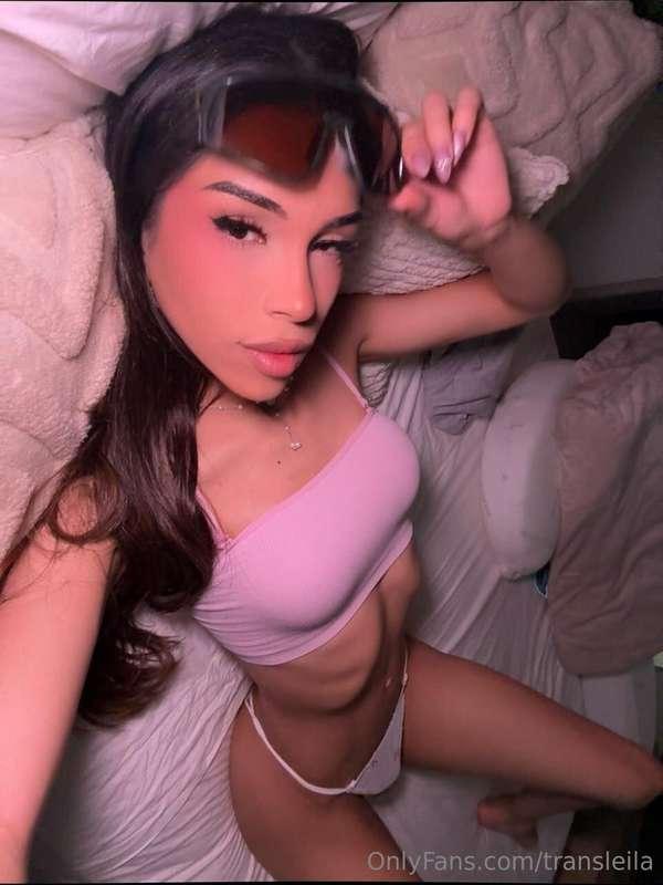 transleila image #1