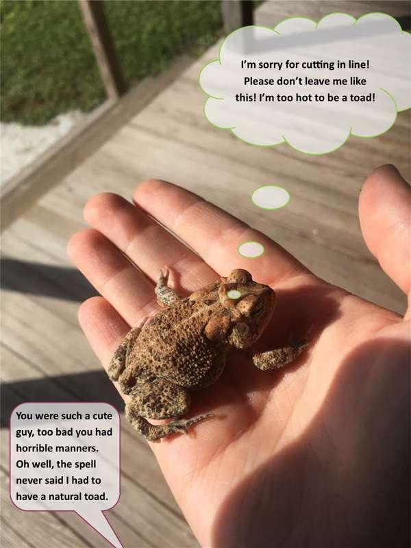 Too Hot to be a Toad