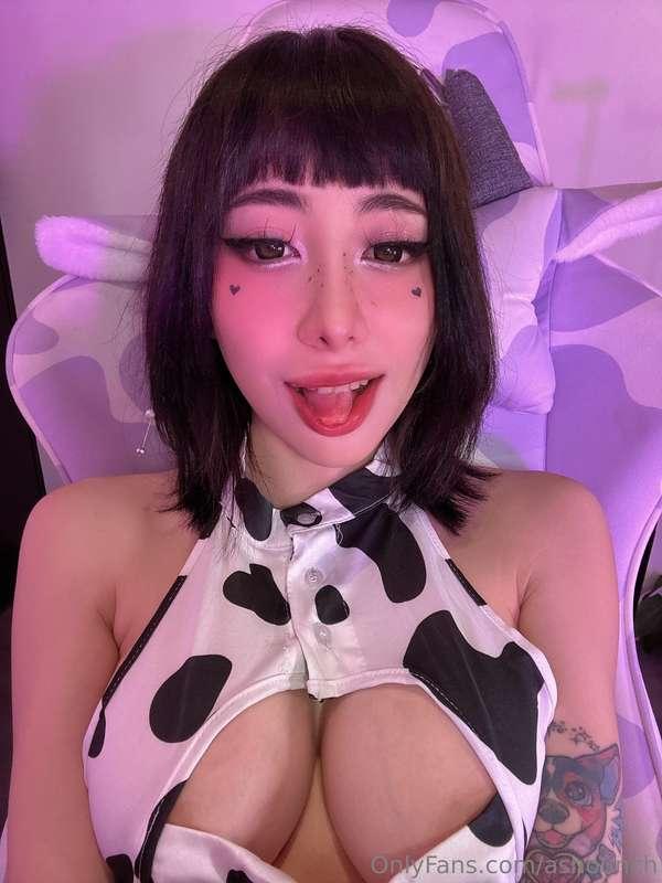 ashounch image #2