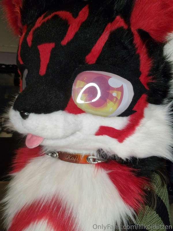 This month I've uploaded 3 full length furry videos to my ma..