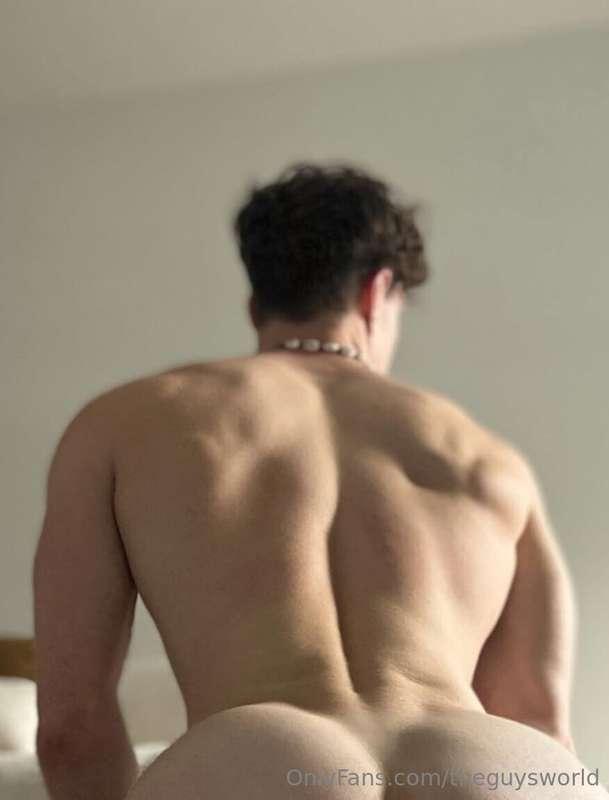 @Guysnet ASS WEEK@hazel_hoffman in @Guysnet 