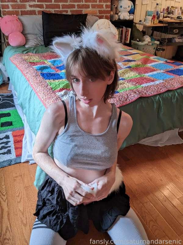 sleepyfawn image #1