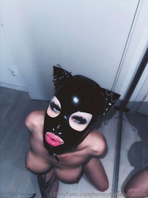 Cool cat 🐈‍⬛