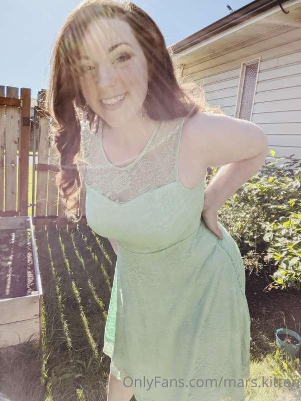 mars.kitten image #0