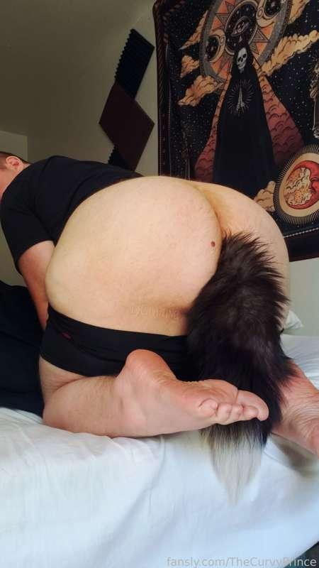 thecurvyprince image #2