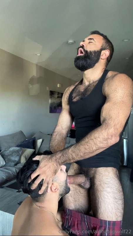 alphatopwolf22 image #5