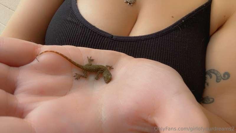 Sorry I havnt posted in a bit, my health 🤒 isn’t the best at..