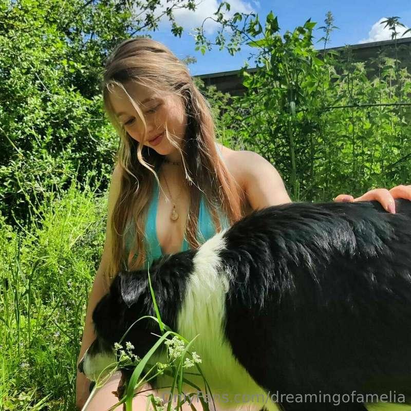 My beautiful old border collie who I rescued from a farmer w..