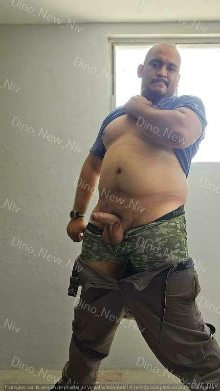 dino_new_niv image #9