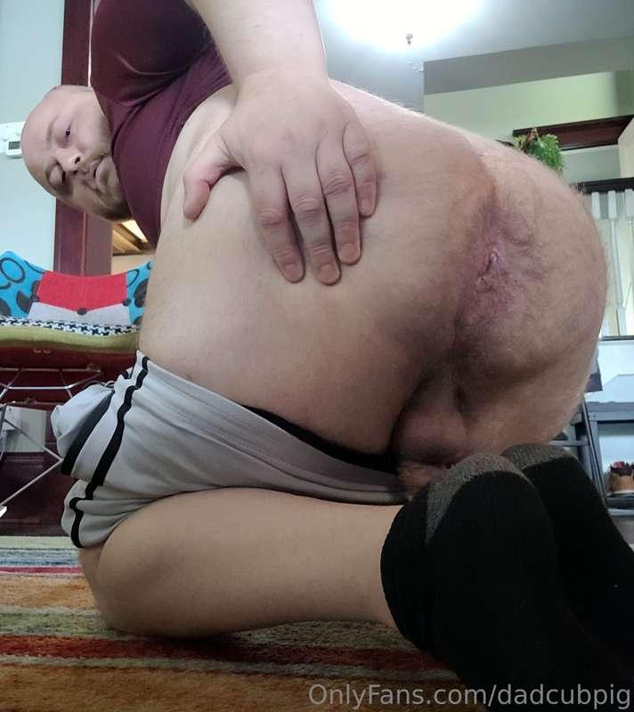 dadcubpig image #3