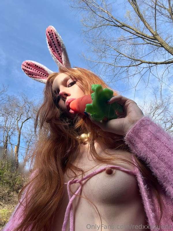 🥕🥕🥕