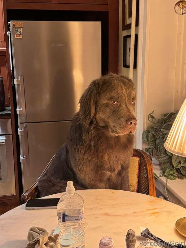 Atlas be like : "Really? you won't get angry if I sit here?"