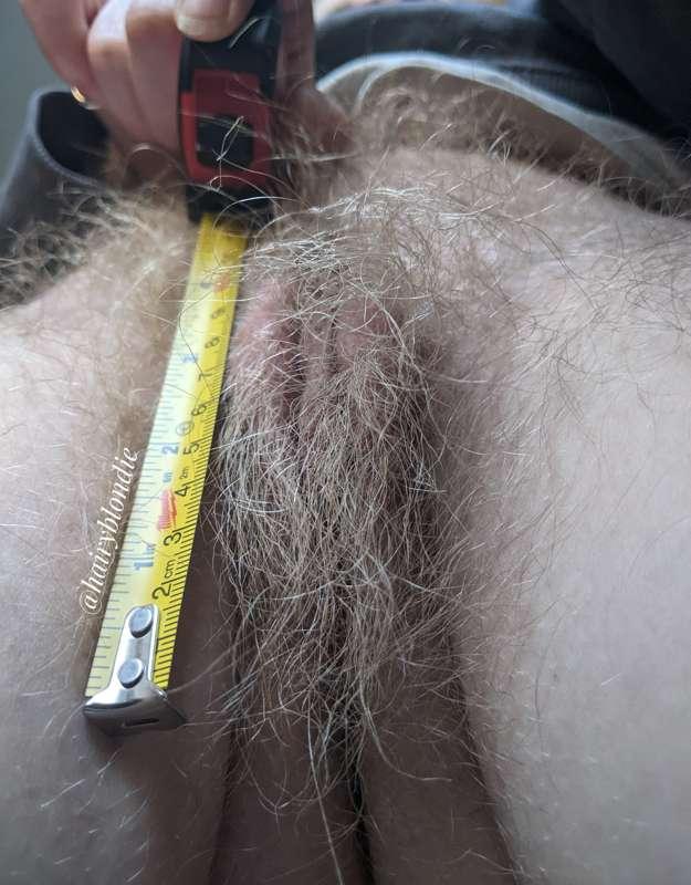 hairyblondie image #1