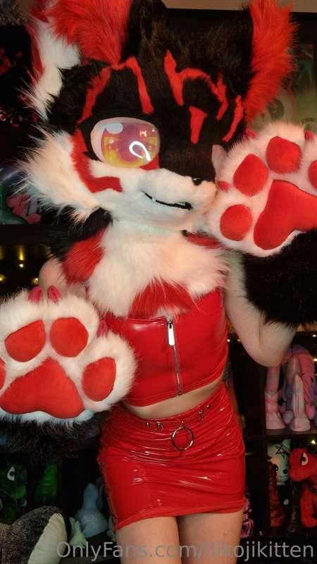 Paws 🐾