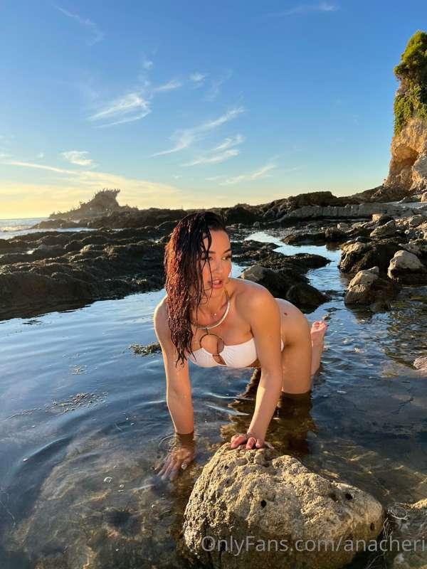 🤍 Aloha! 🌺