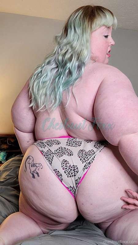 Did you see there's some open slots on my VIP page, Master? ..