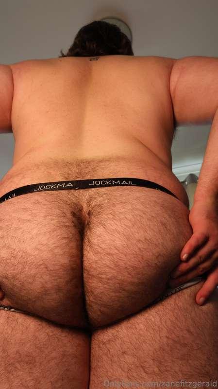 zanefitzgerald image #1