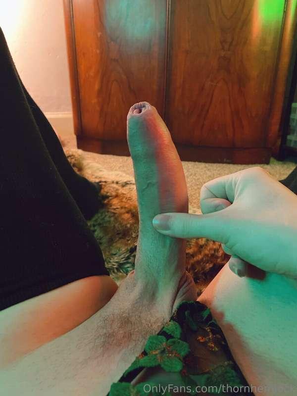 thornhemlock image #10