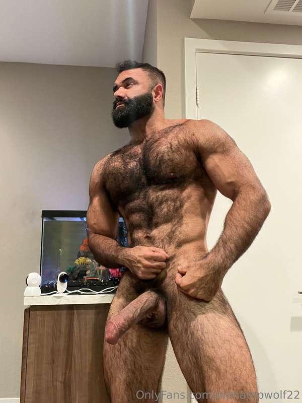 alphatopwolf22 image #3