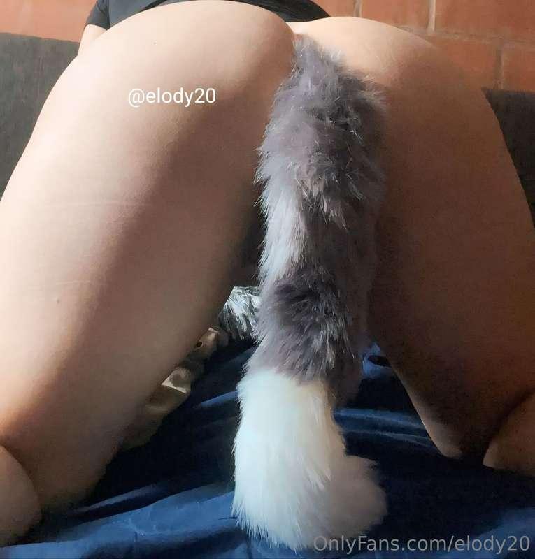 Ready, and prepared for a video call, Do you want '???🌞💖💗