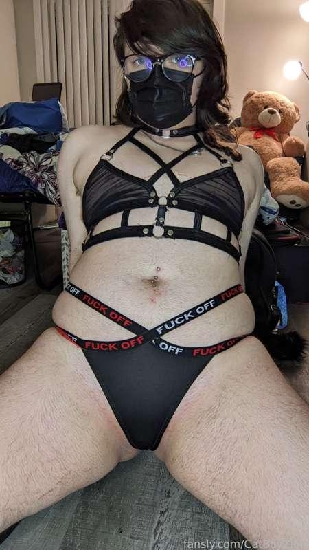 catboyzion image #18
