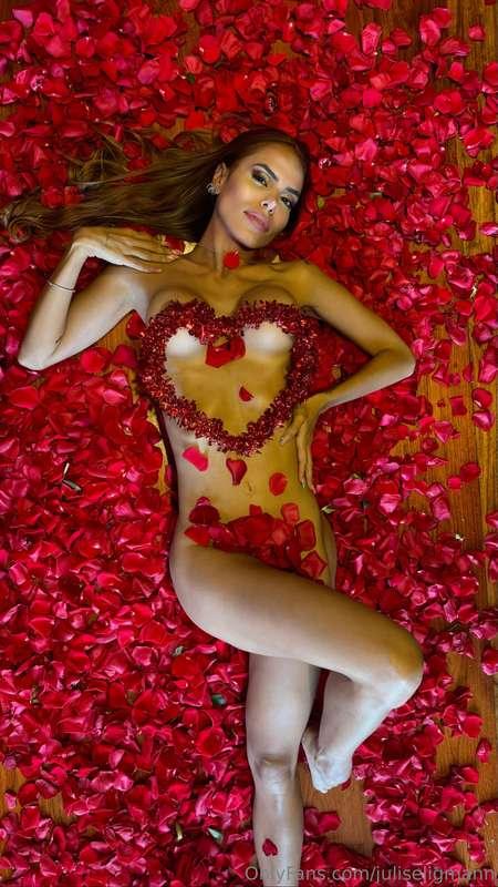 ❤️❤️❤️❤️