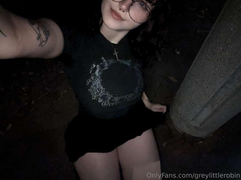 greylittlerobin image #2