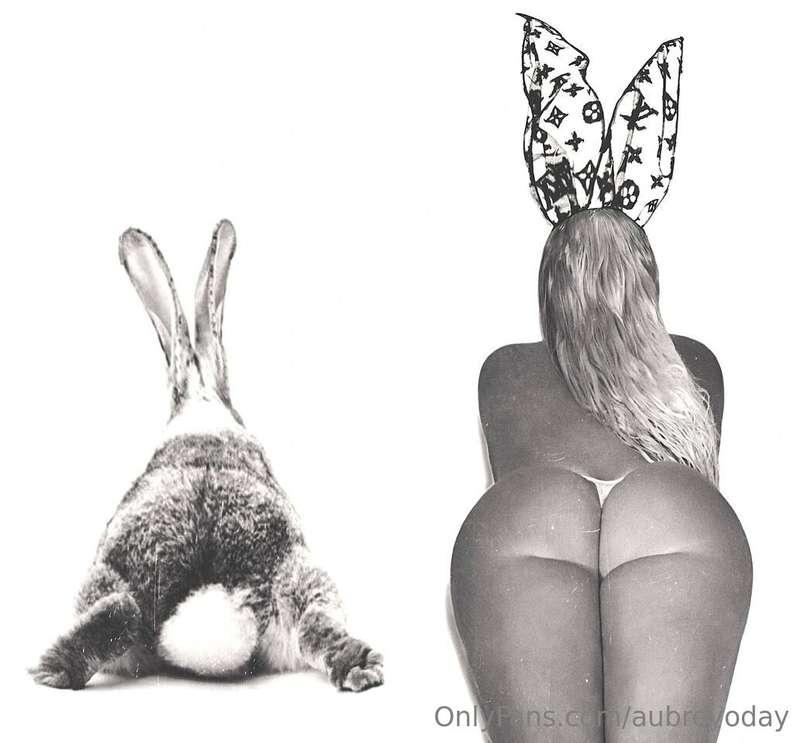 catch me if you can 🐰