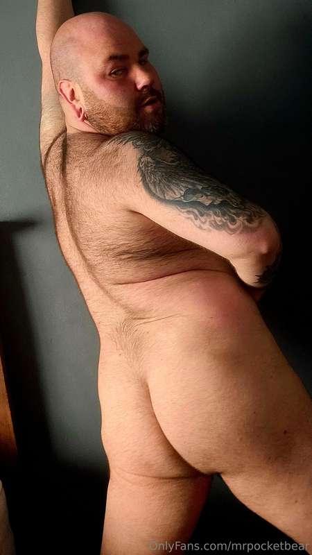 mrpocketbear image #5