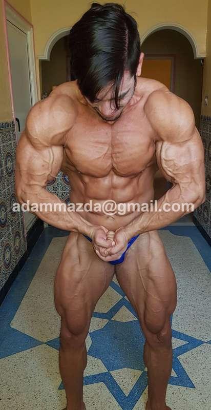 Most Muscular!!