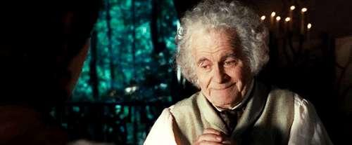 The Lord Of The Rings: Fellowship Of The Ring