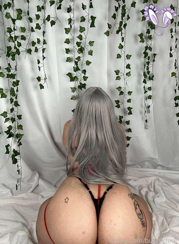 bunnisluut image #53