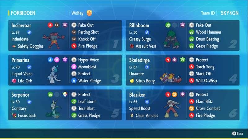 Starter Pokemon Team Report