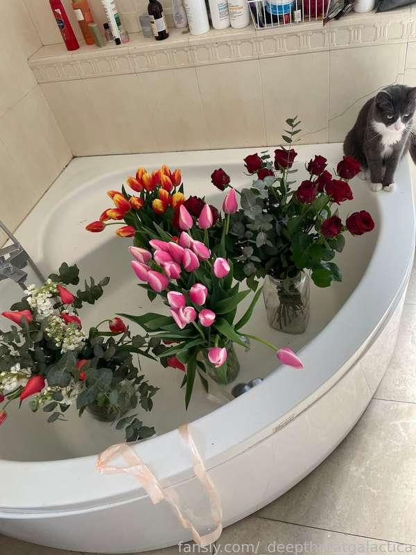 _deepthroatgalactica image #1