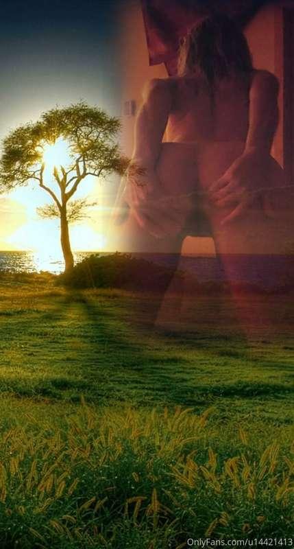 This is my ideal place to have amazing sex outside in nature..